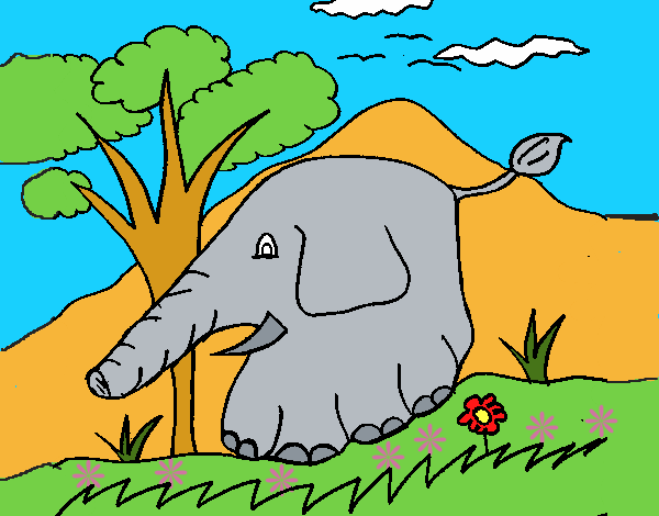 Elefante 5