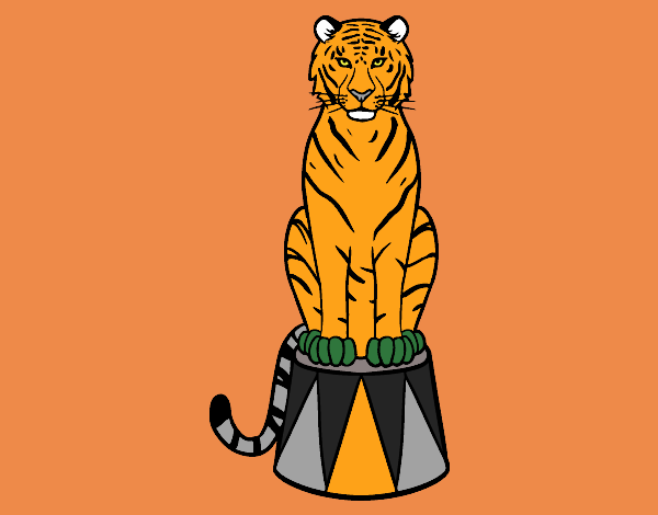 un tigre