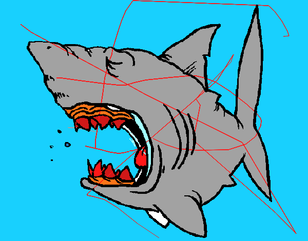 Tiburón 1