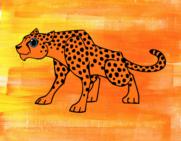 Un leopardo