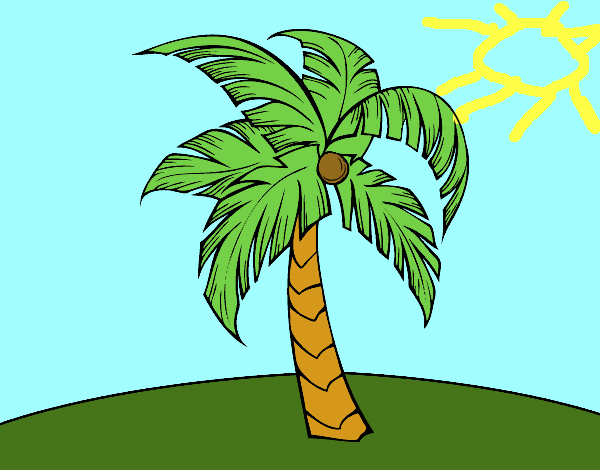 Dibujo Una palmera pintado por romanlopez