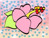 Dibujo Flor de lagunaria pintado por nalia