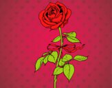 Dibujo Una rosa pintado por Ali2004