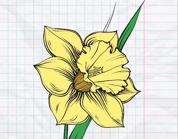 Dibujo Flor de narciso pintado por valenchuss