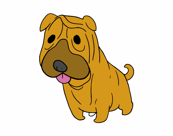 Dibujo Shar Pei pintado por daya13