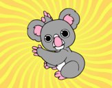 Un Koala