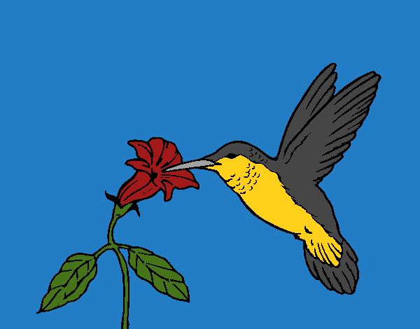 Dibujo Colibrí y una flor pintado por linda423