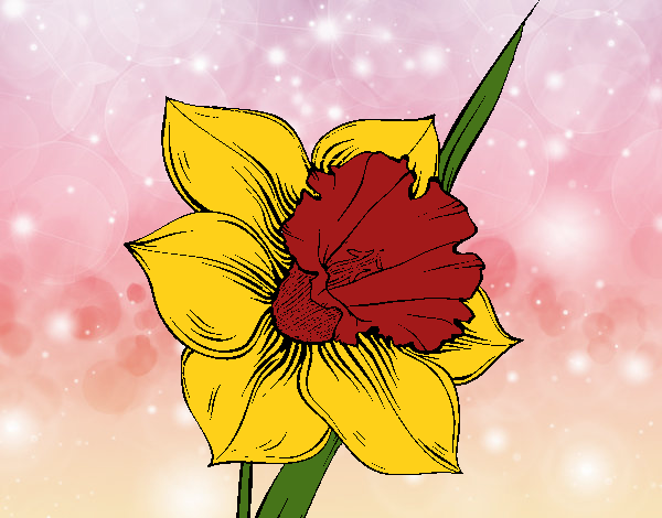 Dibujo Flor de narciso pintado por linda423
