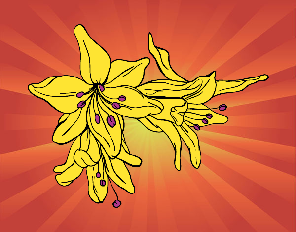 Dibujo Flores de lilium pintado por linda423