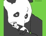 Dibujo Oso panda con su cria pintado por AgossG