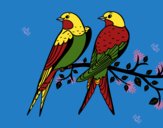 Dibujo Pareja de pájaros pintado por linda423