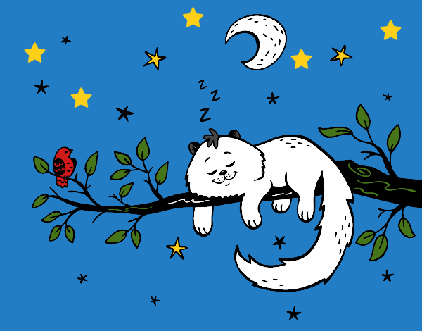 Dibujo El gato y la luna pintado por linda423