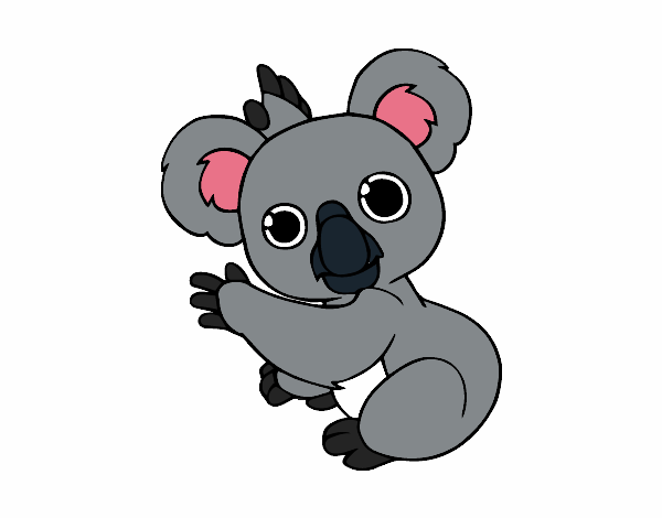 Dibujo Un Koala pintado por Aguila77