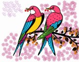 Dibujo Pareja de pájaros pintado por MonteUrug