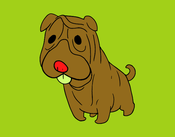 Dibujo Shar Pei pintado por stocn