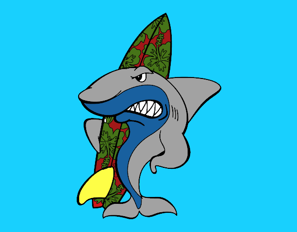Tiburón surfero
