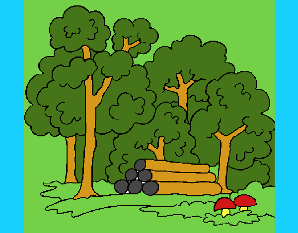 Bosque 2
