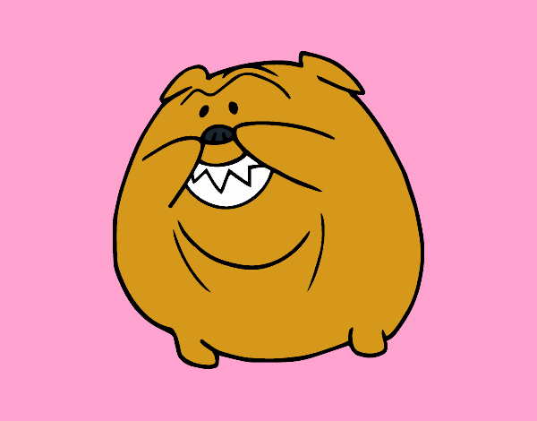 Bulldog sonriendo
