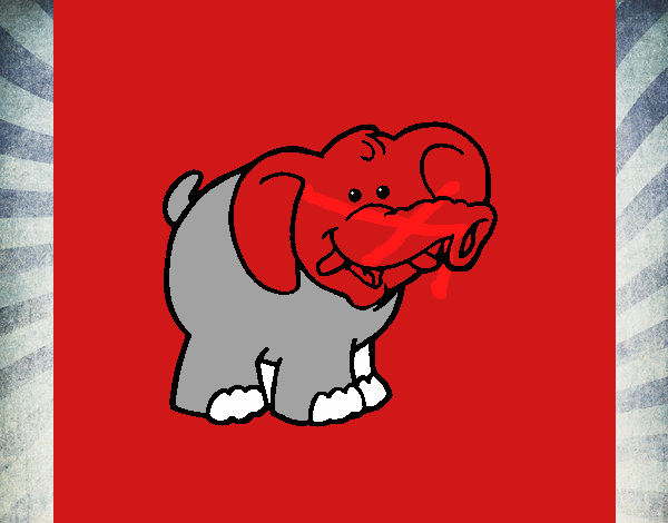 Elefante 3
