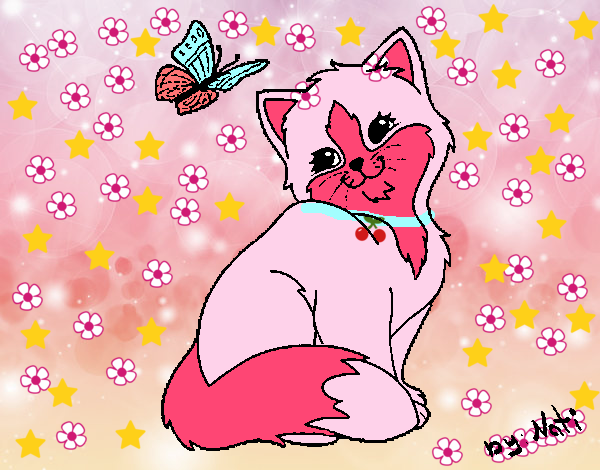 Gatito y mariposa
