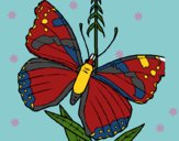 Dibujo Mariposa 5a pintado por linda423