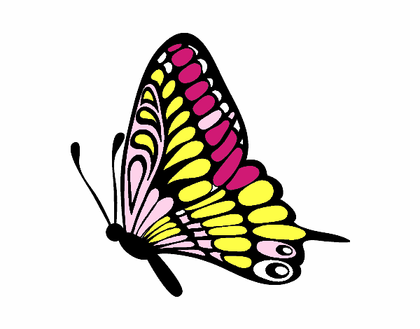 Dibujo Mariposa dirección izquierda pintado por kiomi 