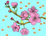 Dibujo Rama de cerezo pintado por kiomi 