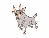 Dibujo Cabra macho pintado por neysiberth
