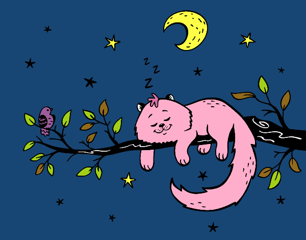 Dibujo El gato y la luna pintado por MARIELITAZ