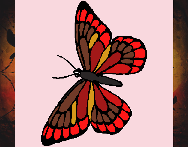 Dibujo Mariposa 10 pintado por Mayra09