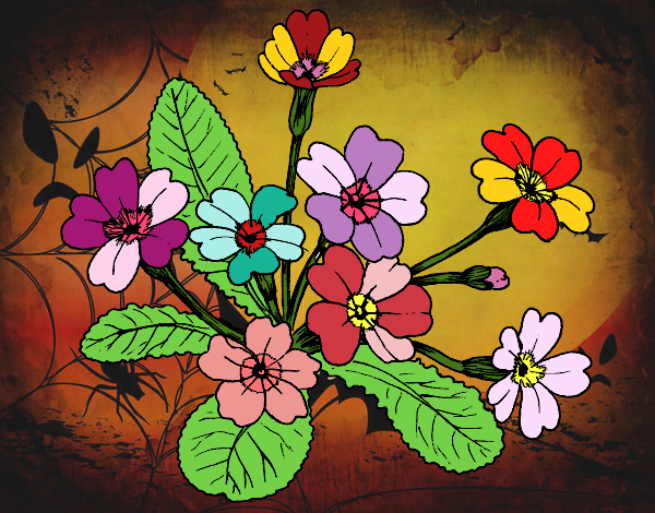 Dibujo Primula pintado por Sylka