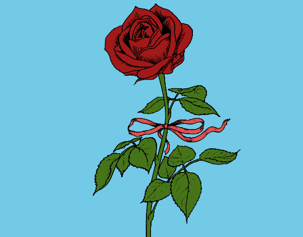 Dibujo Una rosa pintado por evvi