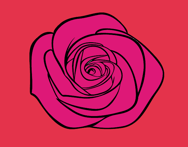 Dibujo Flor de rosa pintado por ignasia