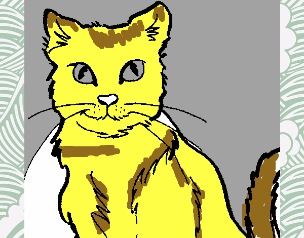 Dibujo Gato 2 pintado por nathan2014
