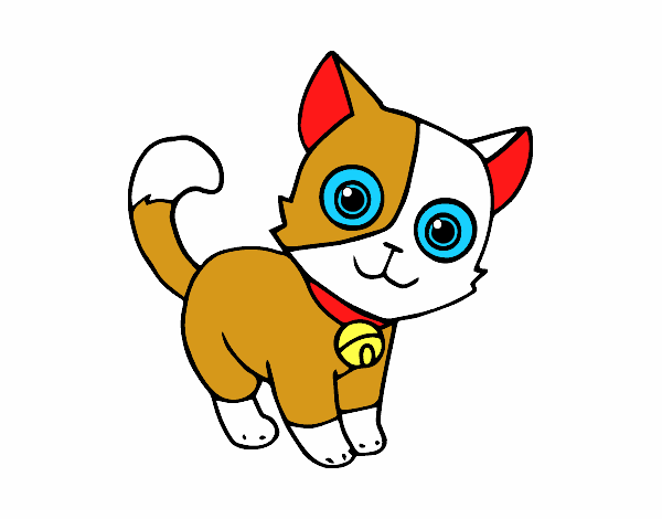 Dibujo Gato doméstico pintado por toychica1