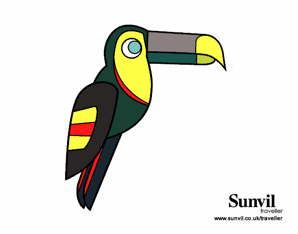 Dibujo Pájaro Tucán pintado por carsuria