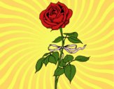 Dibujo Una rosa pintado por Julieta10