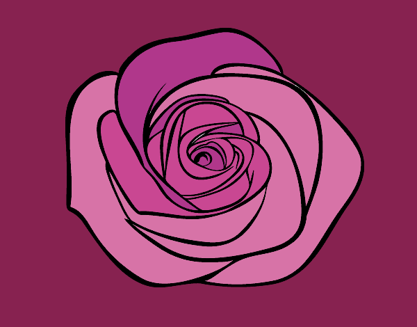 Dibujo Flor de rosa pintado por MATUSA