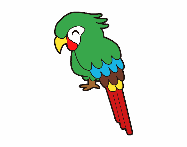 Dibujo Guacamayo pintado por AliFranco 