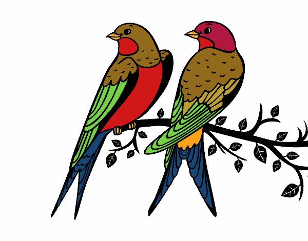 Dibujo Pareja de pájaros pintado por neguencho