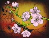 Dibujo Rama de cerezo pintado por estrellado