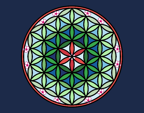 Dibujo Mandala flor de vida pintado por blanca