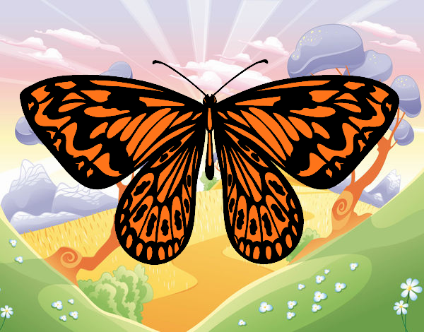 mariposa monarca 2