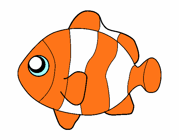 pez payaso 
