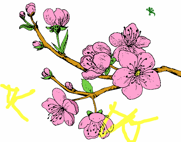 Dibujo Rama de cerezo pintado por sweeties 