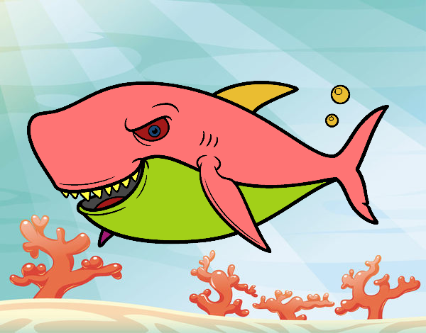 Dibujo Tiburón dentudo pintado por ignasia