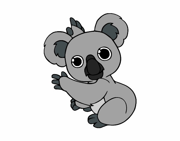 el tierno bebe koala
