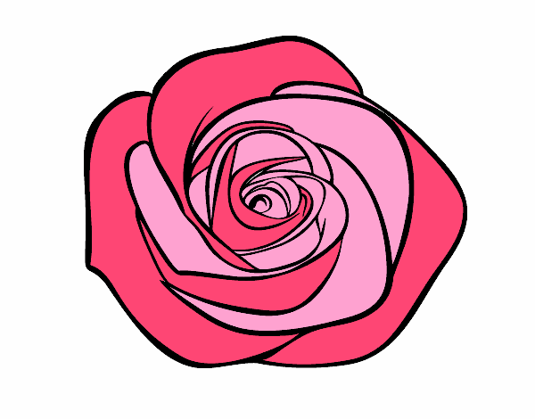 Dibujo Flor de rosa pintado por rossie