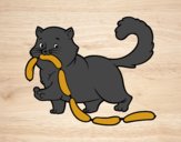 Dibujo Gato con salchichas pintado por smsanchez