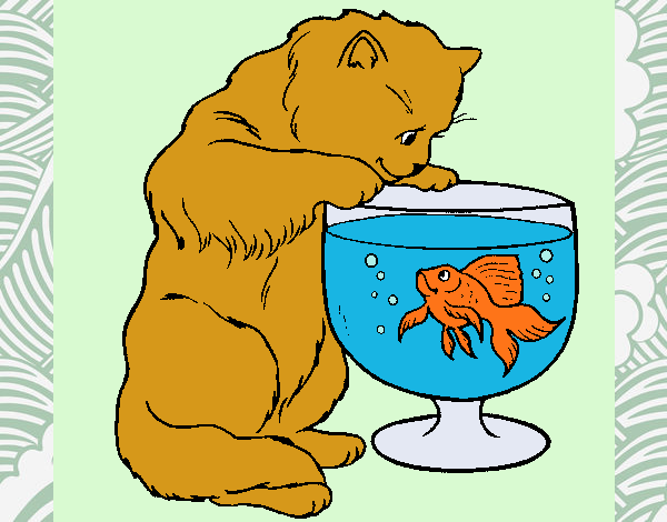 Dibujo Gato mirando al pez pintado por lolyyfeli
